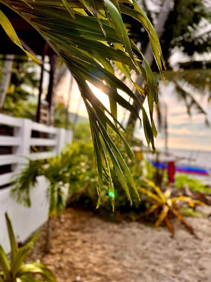 Amami Beachfront Villa With Private Beach ปูแอร์โตกาเลรา ภายนอก รูปภาพ