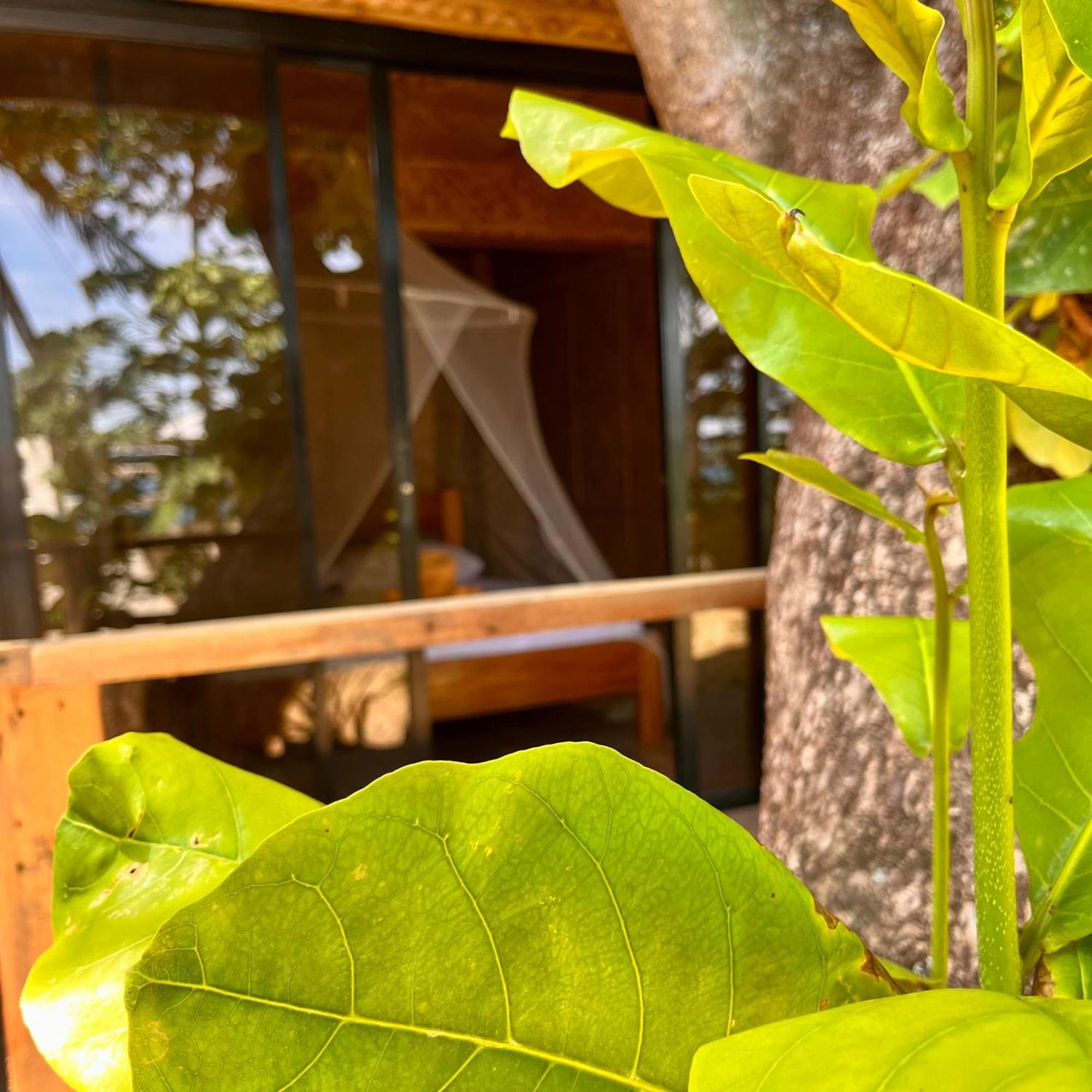 Amami Beachfront Villa With Private Beach ปูแอร์โตกาเลรา ภายนอก รูปภาพ