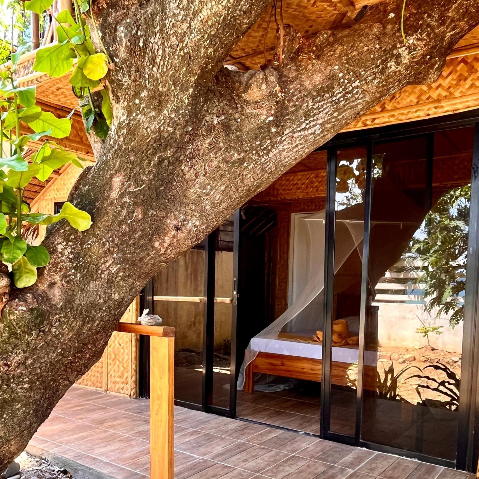 Amami Beachfront Villa With Private Beach ปูแอร์โตกาเลรา ภายนอก รูปภาพ